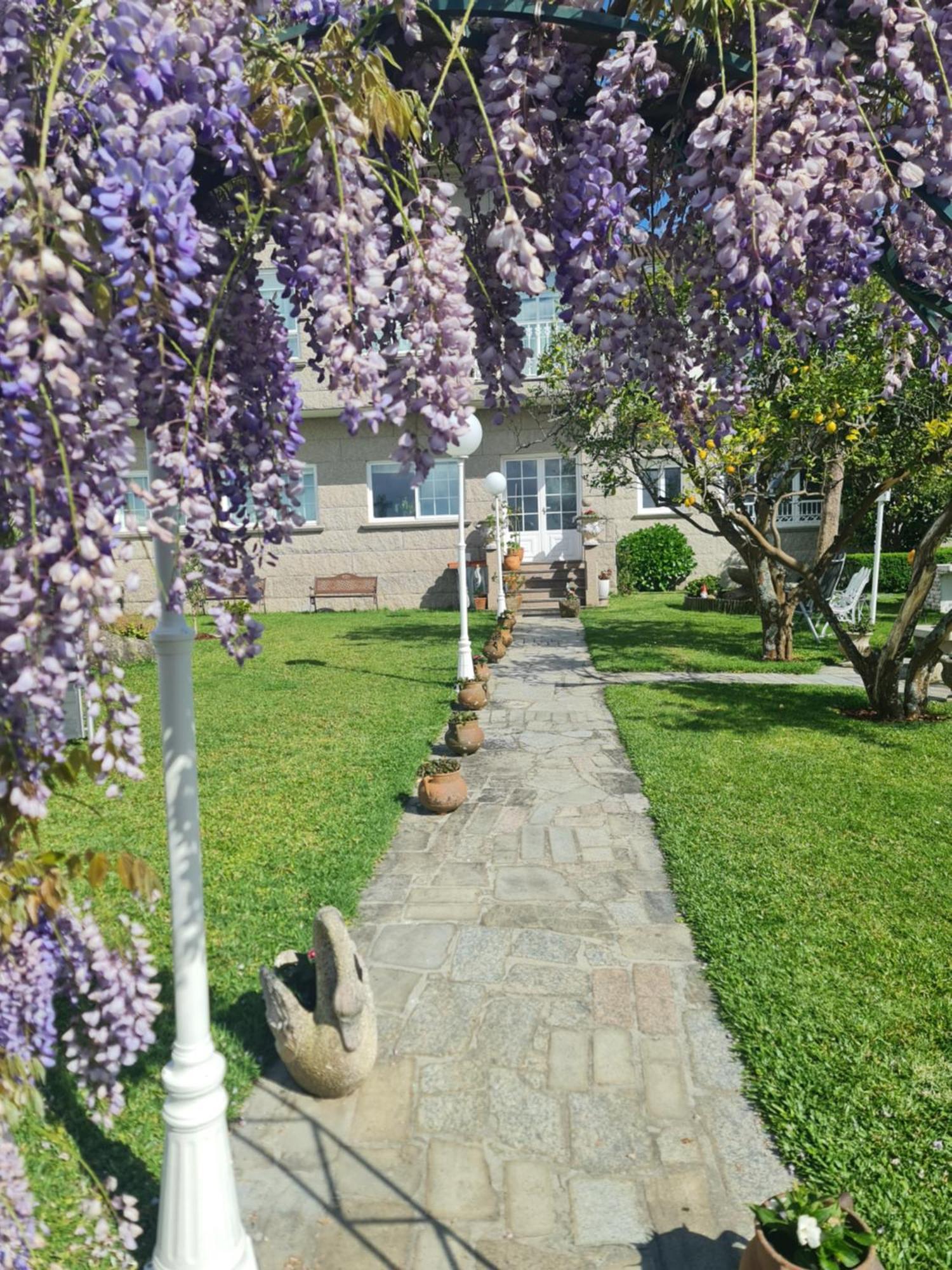 Casa A Pastora Pensionat Cambados Exteriör bild